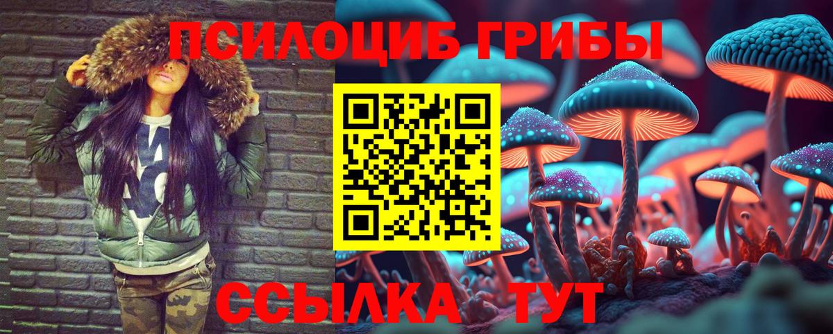 Волхов  Псилоцибиновые грибы MAGIC MUSHROOMS  Вход с VPN 